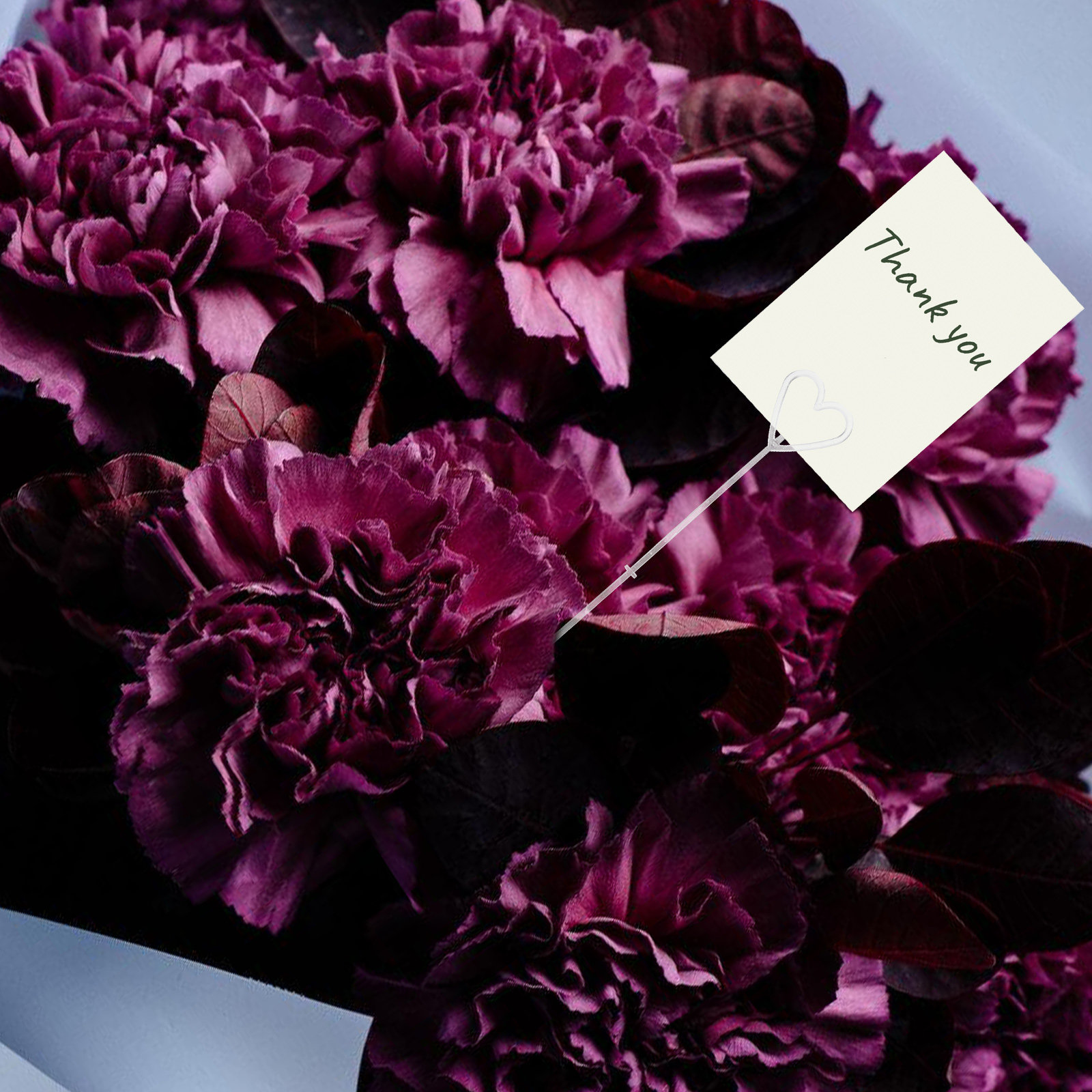 80Pcs Floral Pick Card Holders - đánh giá và giá Wedding Supply Decor